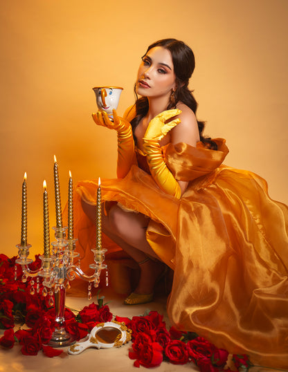 PREVENTA Editorial 3 Beauty and the Beast (Anticipo)